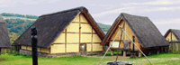 Altburg  house